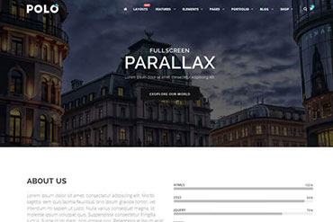 Polo Parallax Dark Fullwidth